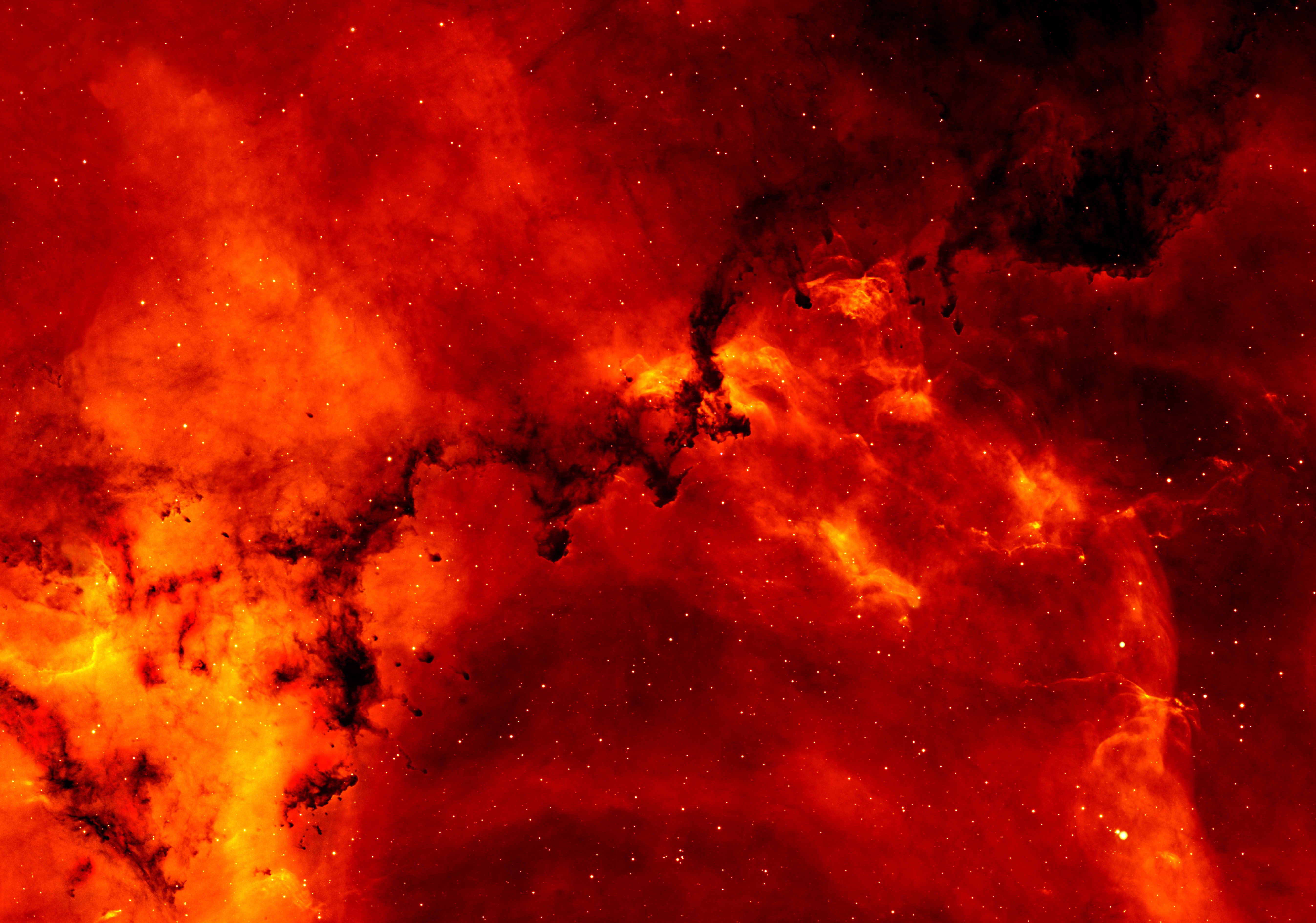 stars